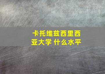 卡托维兹西里西亚大学 什么水平